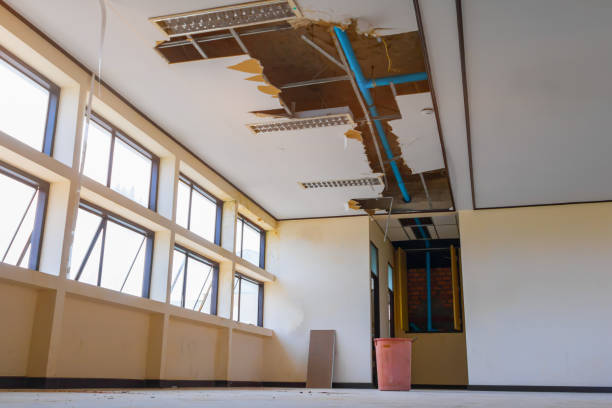 Best Ceiling water damage repair  in Riverside, IL