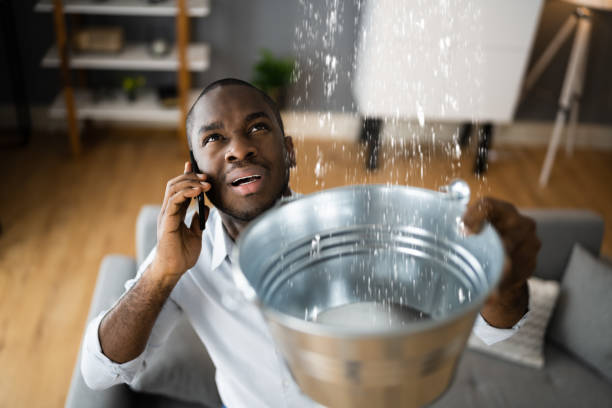 Best Ceiling water damage repair  in Riverside, IL