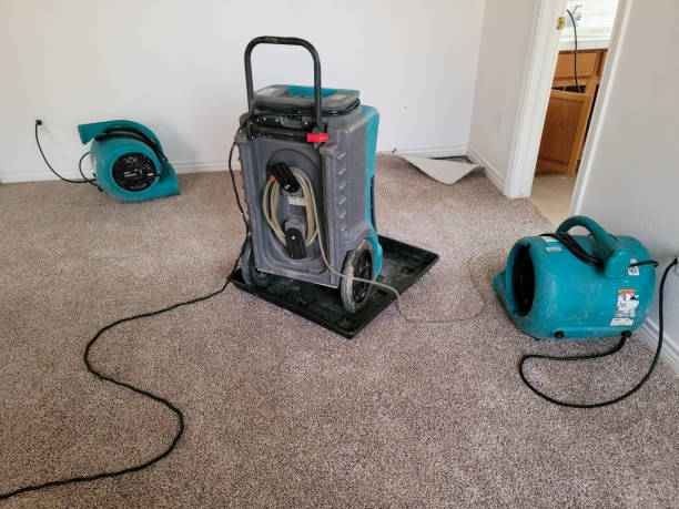 Best Water damage restoration services  in Riverside, IL