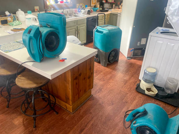 Best Commercial water damage restoration  in Riverside, IL