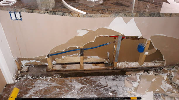 Best Water damage cleanup near me  in Riverside, IL