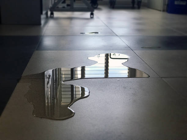 Best Emergency water damage restoration  in Riverside, IL