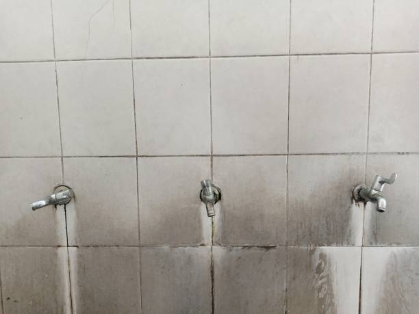 Best Basement water damage restoration  in Riverside, IL