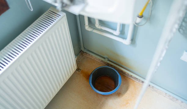 Best Local water damage restoration  in Riverside, IL