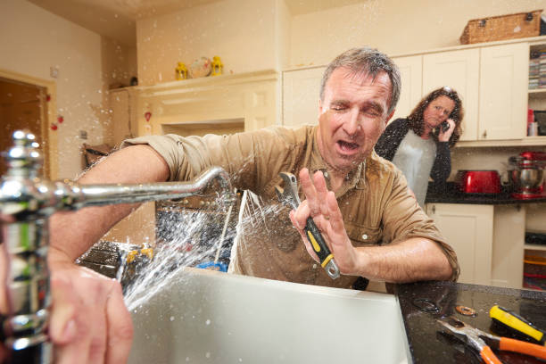 Best Basement water damage restoration  in Riverside, IL
